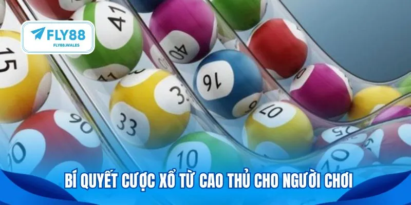 Bí quyết cược xổ từ cao thủ cho người chơi