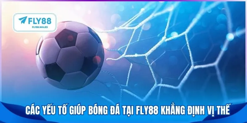 Các yếu tố giúp bóng đá tại FLY88 khẳng định vị thế