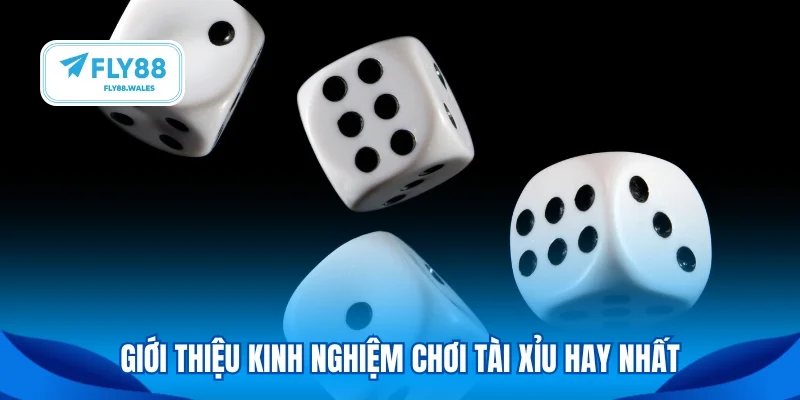 Giới thiệu kinh nghiệm chơi tài xỉu hay nhất