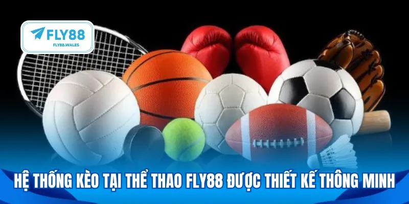 Hệ thống kèo tại thể thao Fly88 được thiết kế thông minh