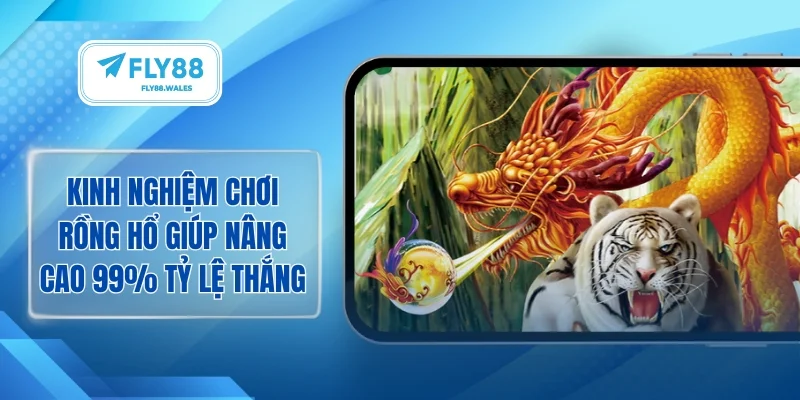Kinh nghiệm chơi rồng hổ