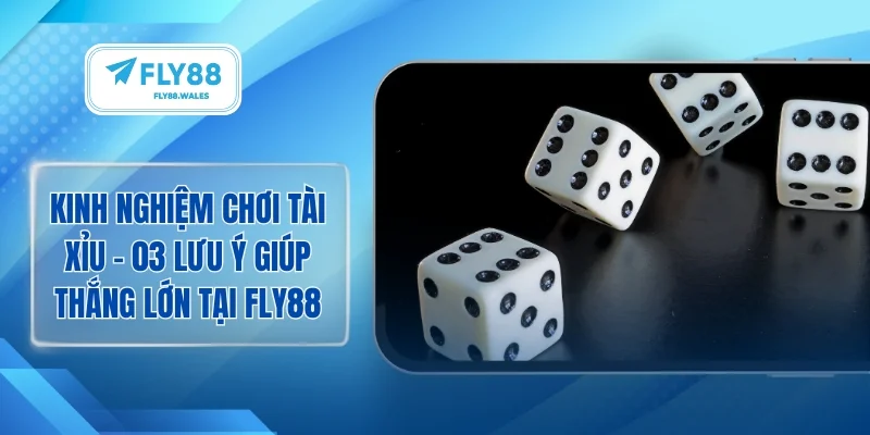 Kinh nghiệm chơi tài xỉu