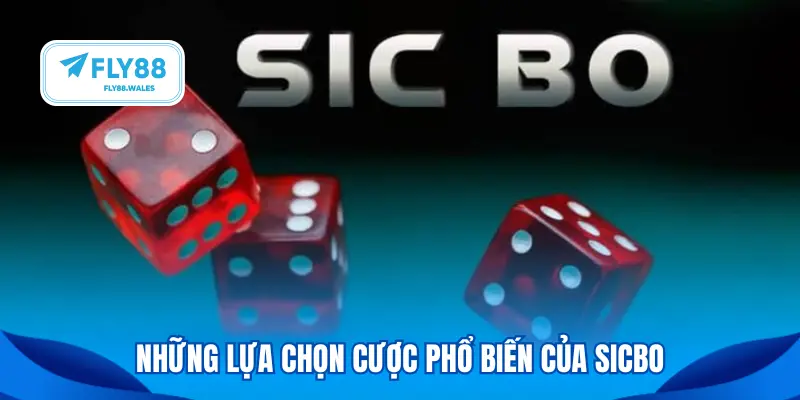 Những lựa chọn cược phổ biến của Sicbo