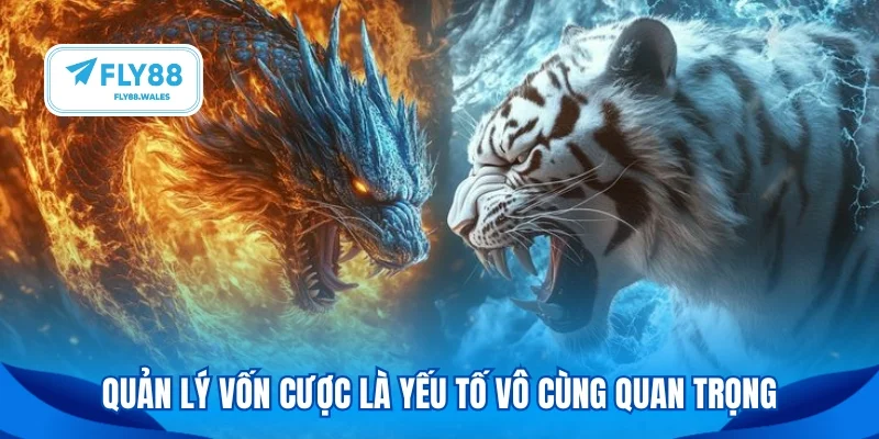 Quản lý vốn cược là yếu tố vô cùng quan trọng