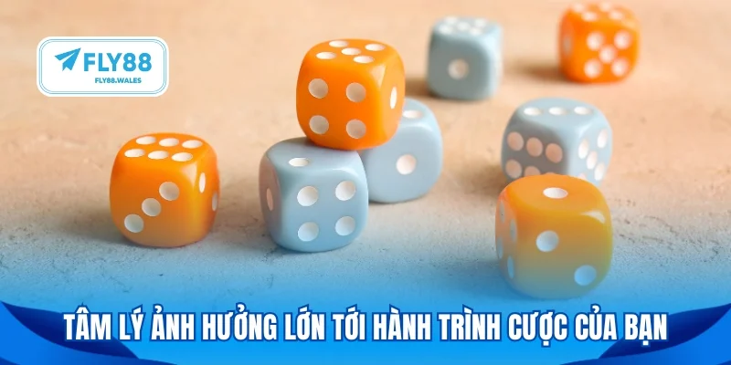 Tâm lý ảnh hưởng lớn tới hành trình cược của bạn