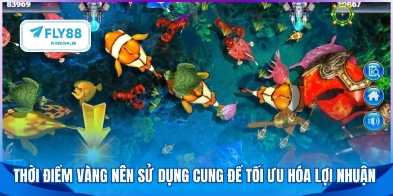 Thời điểm vàng nên sử dụng cung để tối ưu hóa lợi nhuận