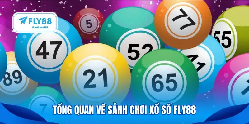 Tổng quan về sảnh chơi xổ số Fly88